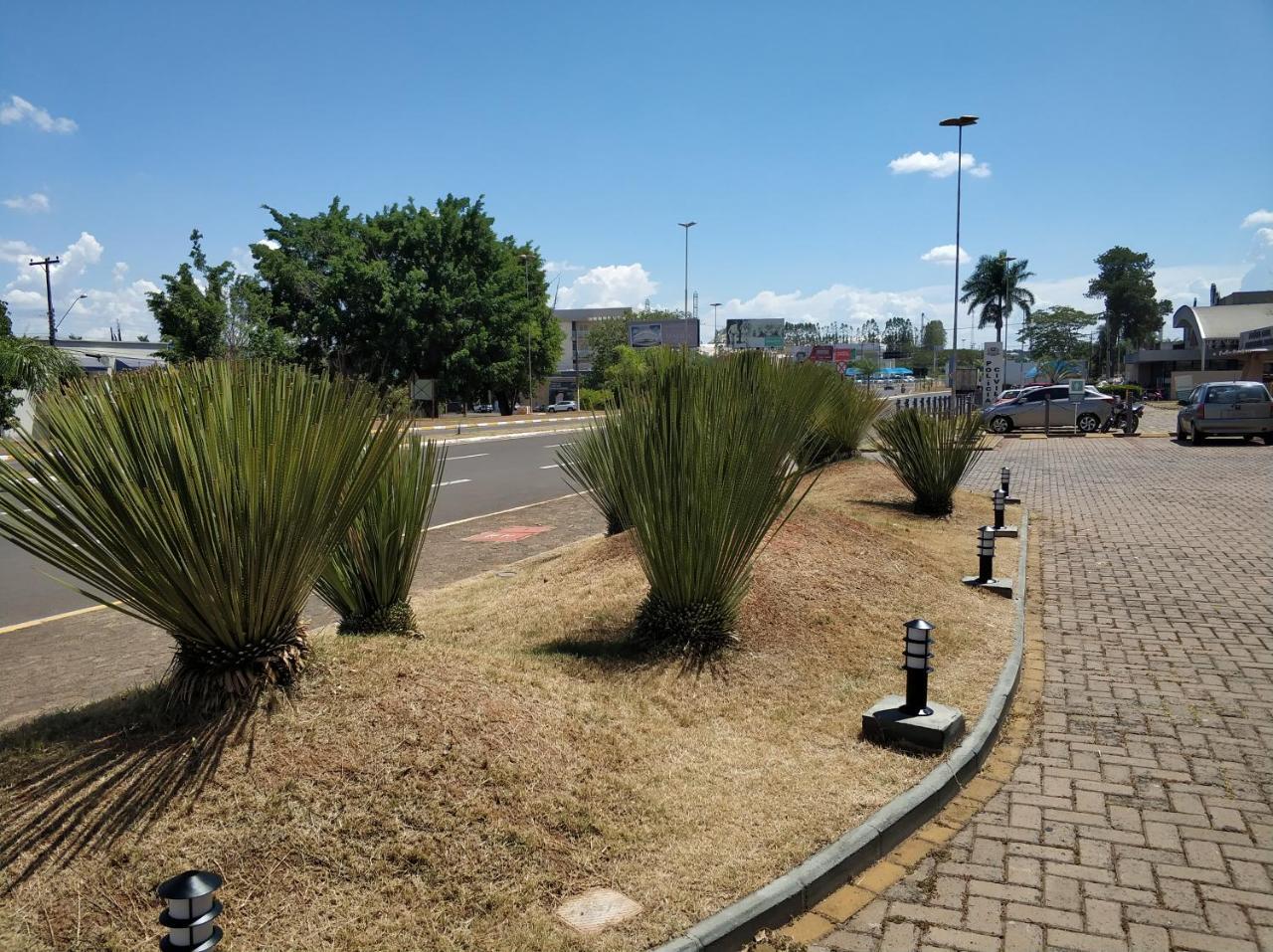 Hotel Ibis Lins Zewnętrze zdjęcie